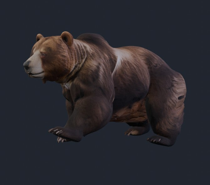 A generated bear creature, auto-rigged, skinned, and animated